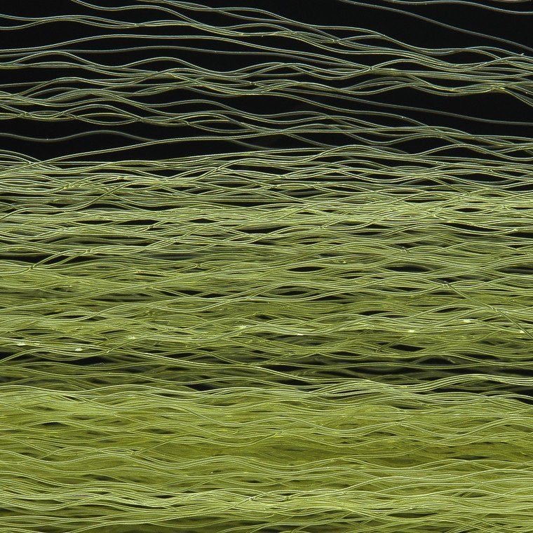 eng_pl_Wapsi-Unique-Hair-1396_1