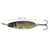Black Magic Enticer Freshwater Lure 12g Carp