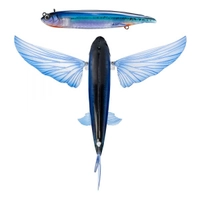 Nomad Design SlipStream Flying Fish Lure 200mm Electric Thumbnail Nomad Design SlipStream Flying Fish Lure 200mm Electric