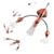Squidnation That Flippy Floppy Thing Daisy Chain Natural Brown