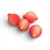 Sea Harvester Corkeys Floating Beads Qty 10 Medium #10 Red