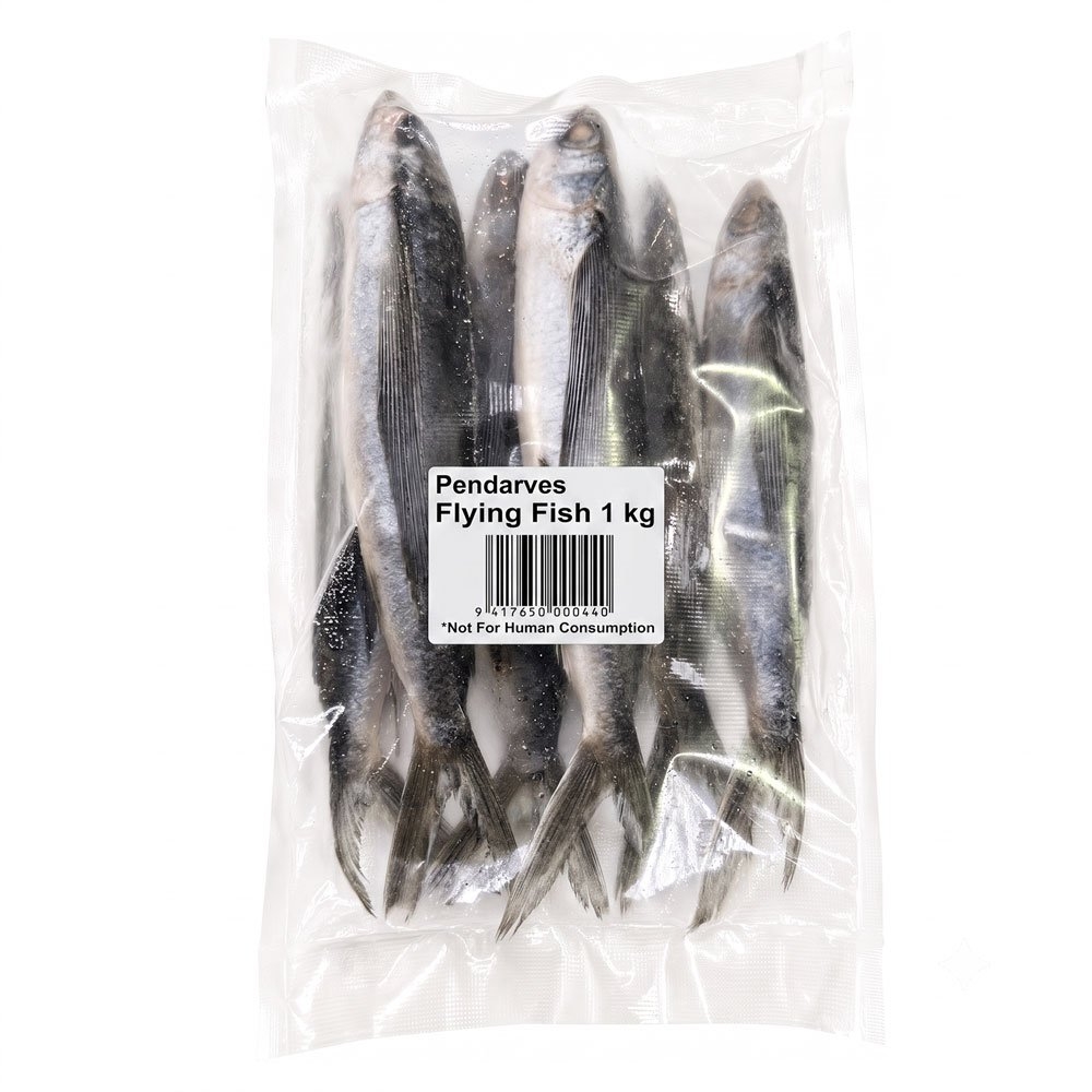 Pendarves Flying Fish Frozen Bait 1kg