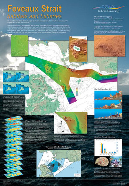 Foveaux Strait Poster