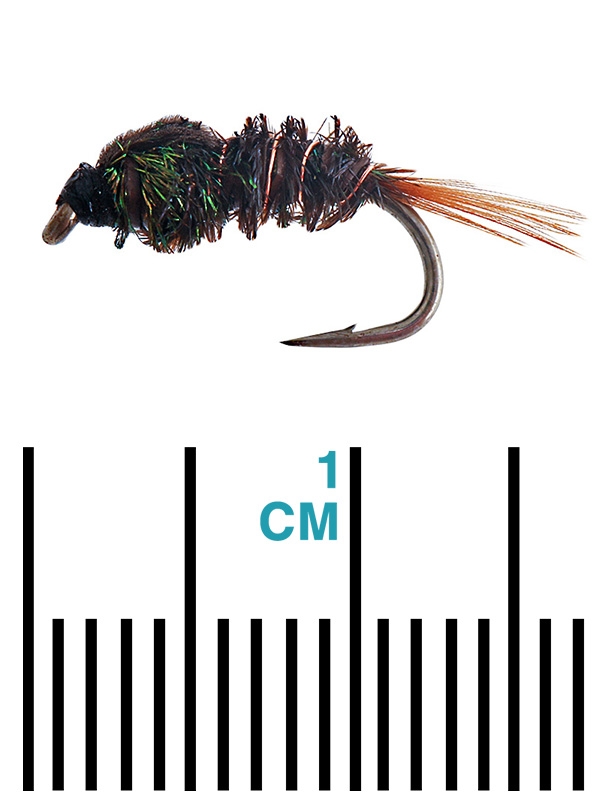 Black Magic Halfback Nymph Trout Fly A14 1.5cm