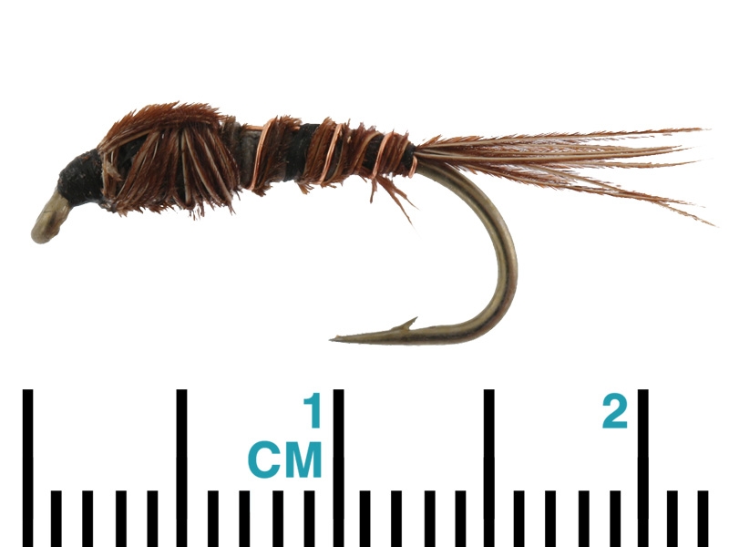 Black Magic Pheasant Tail Nymph Trout Fly A10 2cm