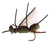 Black Magic Foam Cicada Trout Fly B10 3.5cm