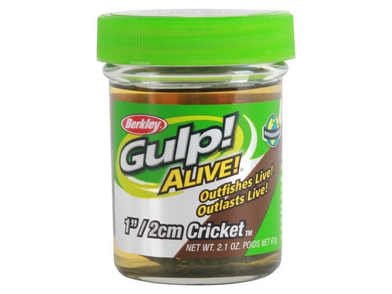 Berkley Gulp Alive Soft Bait Cricket 2cm Breen