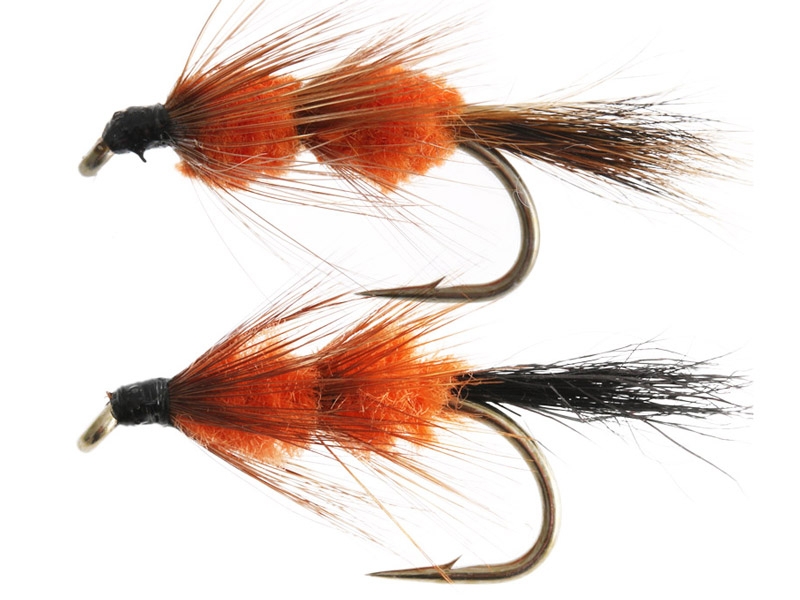 Black Magic Red Setter Trout Fly