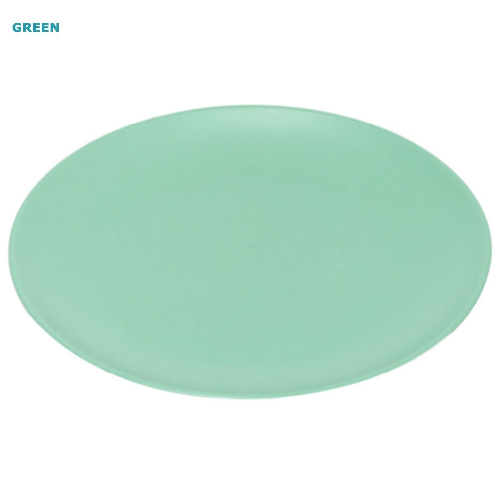 Shatter-Resistant Melamine Dinner Plate