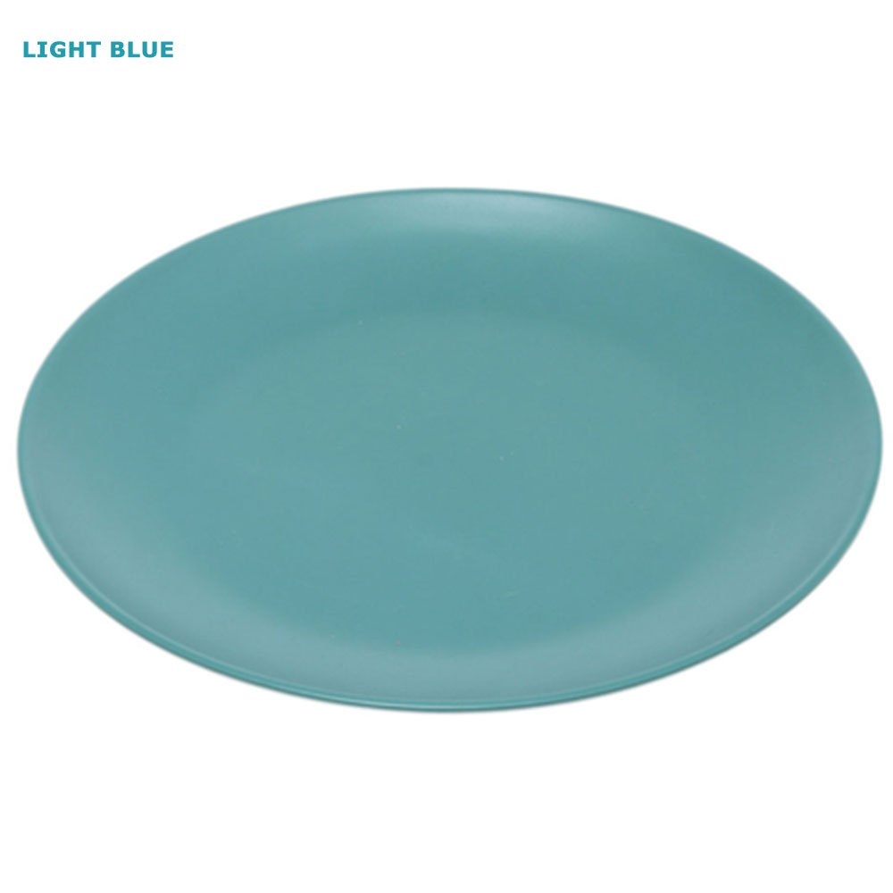 Shatter-Resistant Melamine Dinner Plate