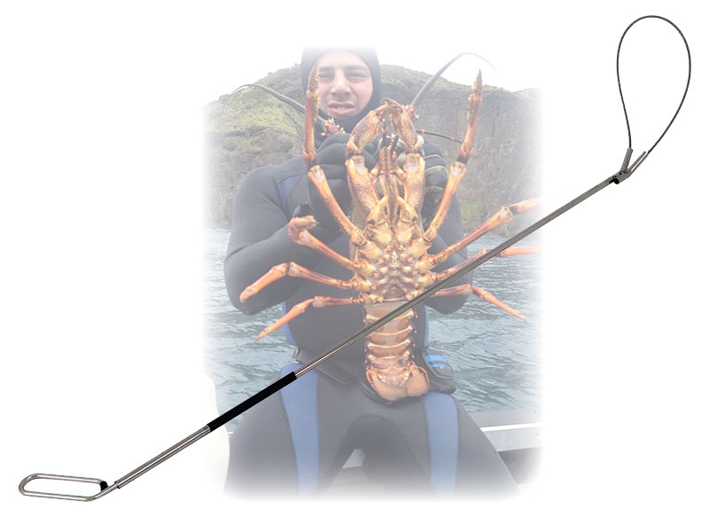 Stainless Steel Cray Noose 1m