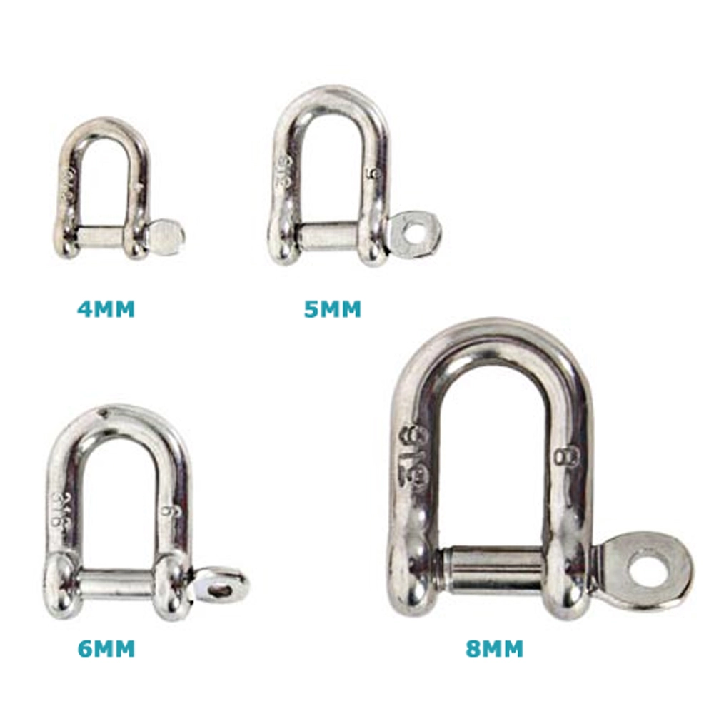 AISI 316 Stainless Steel D Shackle with Removable Pin AISI 316 Stainless Steel D Shackle with Removable Pin