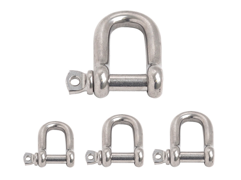 Trojan 316 Stainless Steel D Shackle