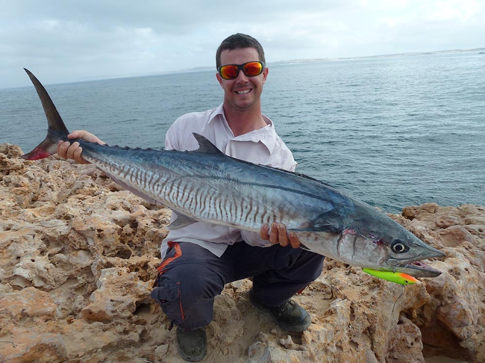 Halco Max 220 Minnow Lure 220mm 180g