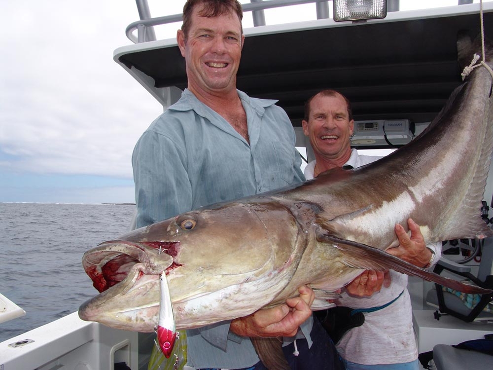 Halco Max 220 Minnow Lure 220mm 180g