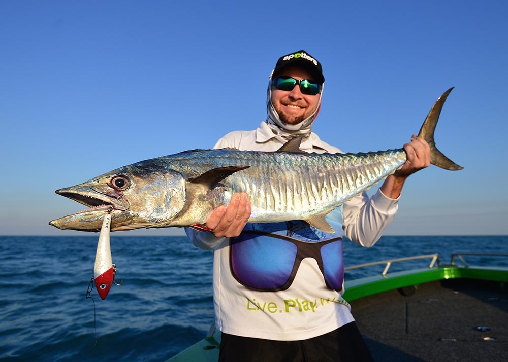 Halco Max 220 Minnow Lure 220mm 180g