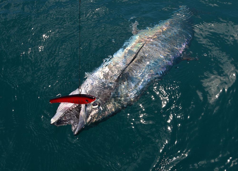 Halco Max 220 Minnow Lure 220mm 180g