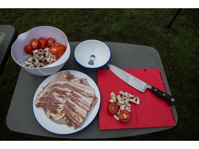 Coleman Enamel Plate 26cm