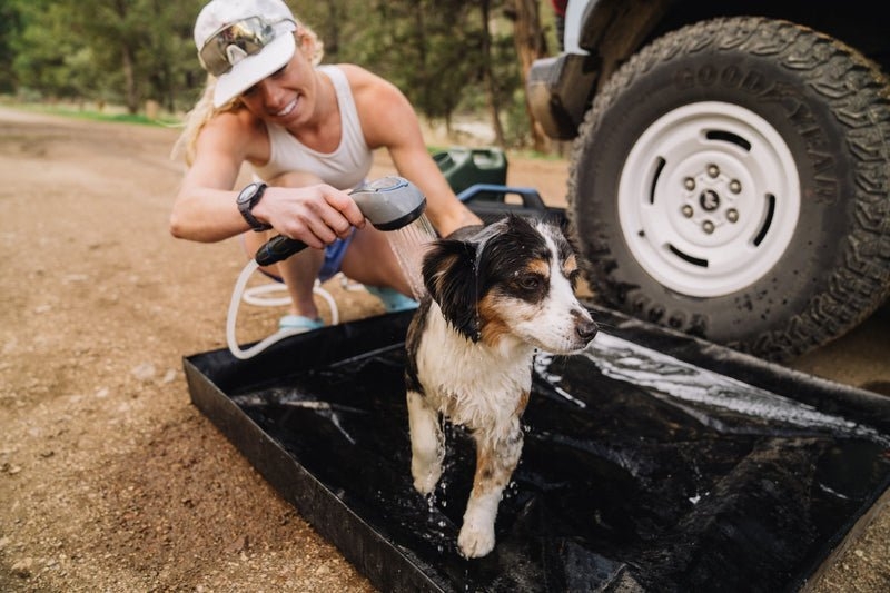 Companion Aquaheat Nxt Portable Hot Water Unit