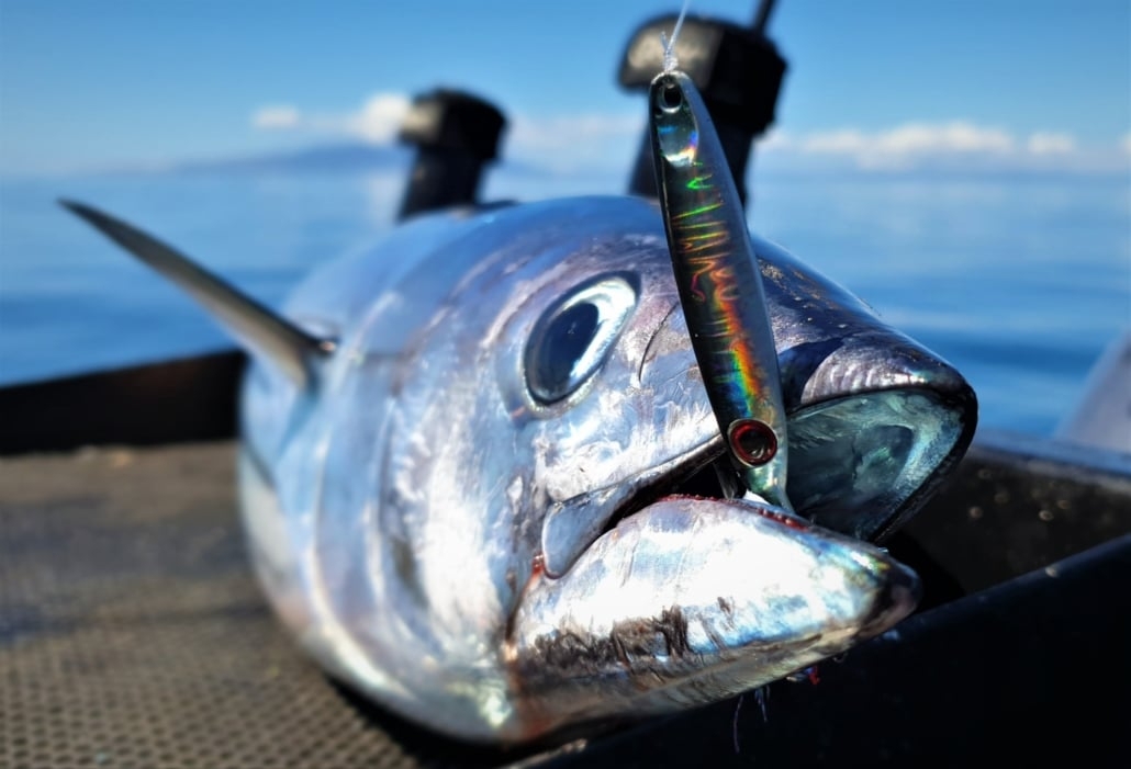 Catch Pocket Rocket Tungsten Micro Jig 7g Qty 3