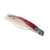 H2O Pro Mini Hex Albacore Tuna Trolling Lure 11.5cm Red/White
