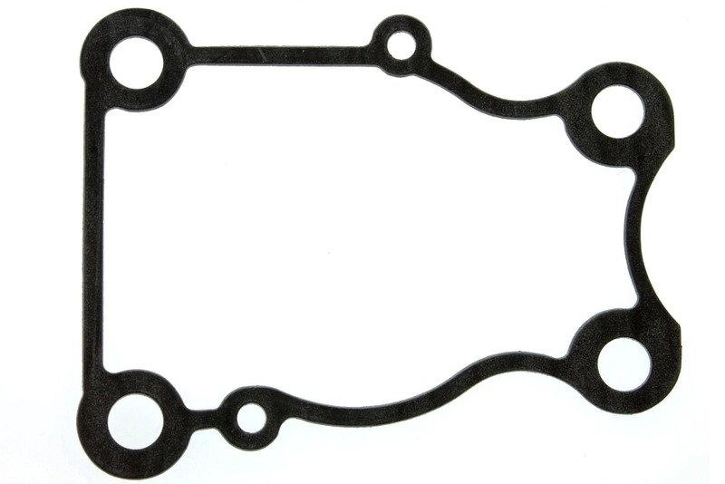 Paragon Water Pump Gasket 