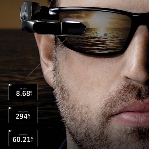 Garmin Nautix In-View Display