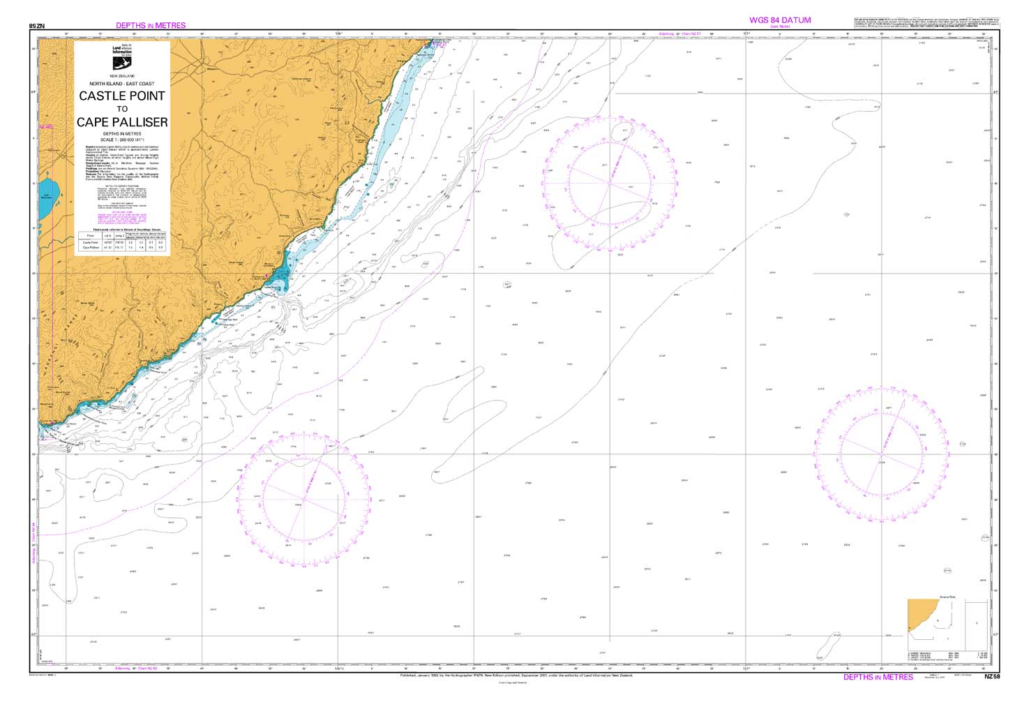 NZ 58 Castle Point to Cape Palliser Chart