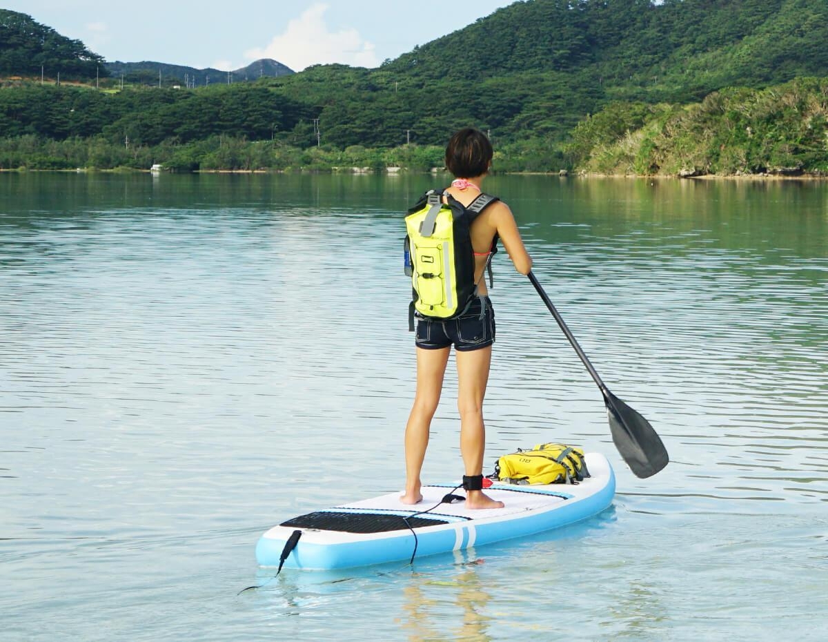 OverBoard Pro-Vis Waterproof Backpack 30L Hi-Vis Yellow