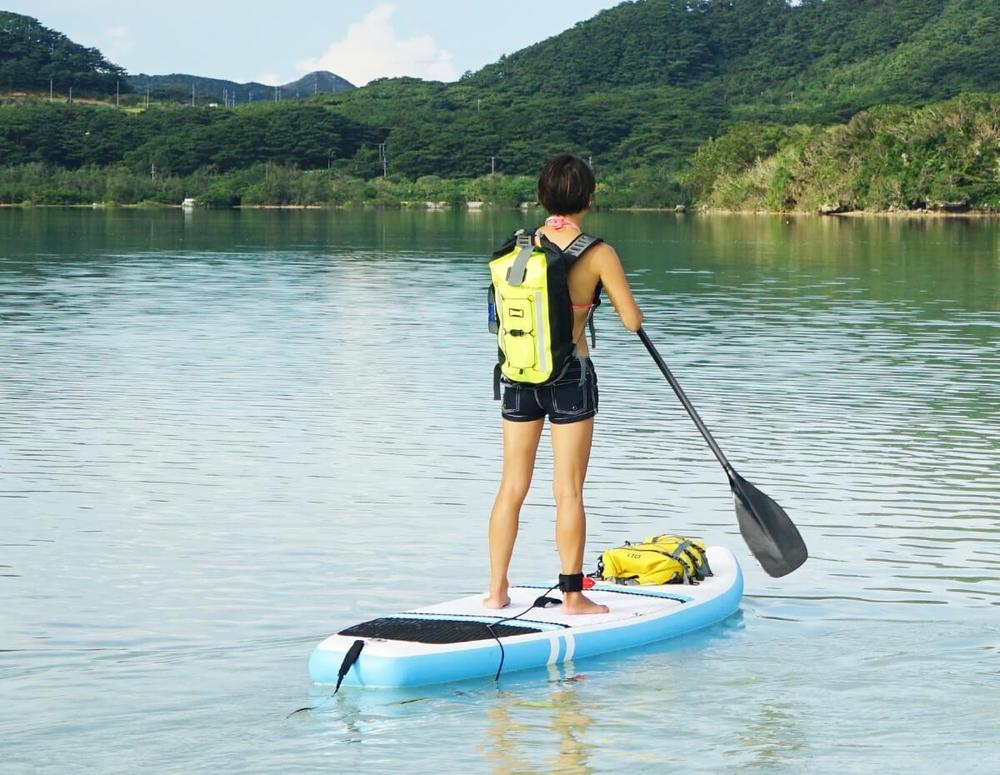 OverBoard Pro-Vis Waterproof Dry Bag Backpack 30L Hi-Vis Orange