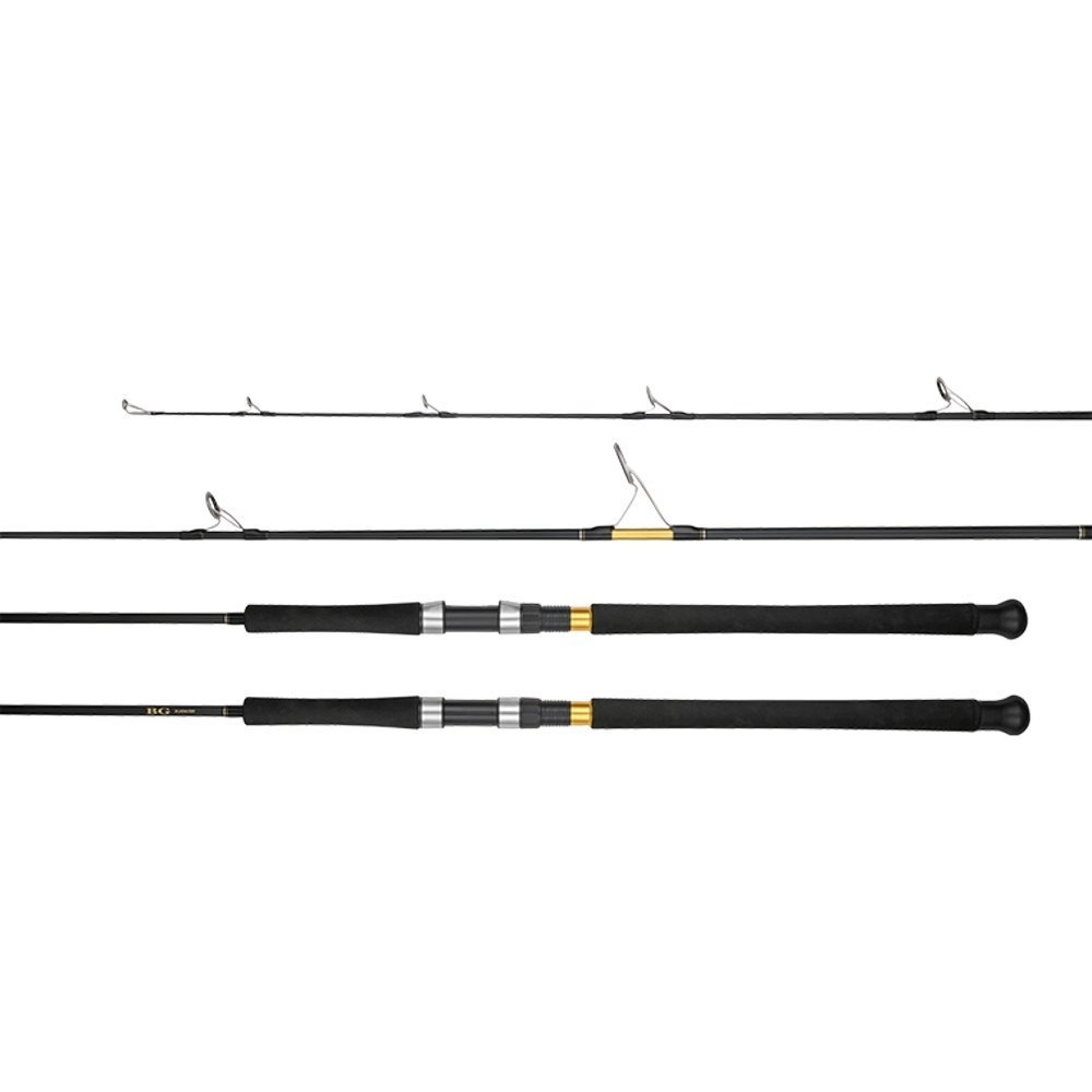 Daiwa BG Bluewater Spinning Rod S79-3/5 7ft 9in PE3-5 2pc