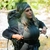 Hunters Element Zenith Top Womens Desolve Veil 6