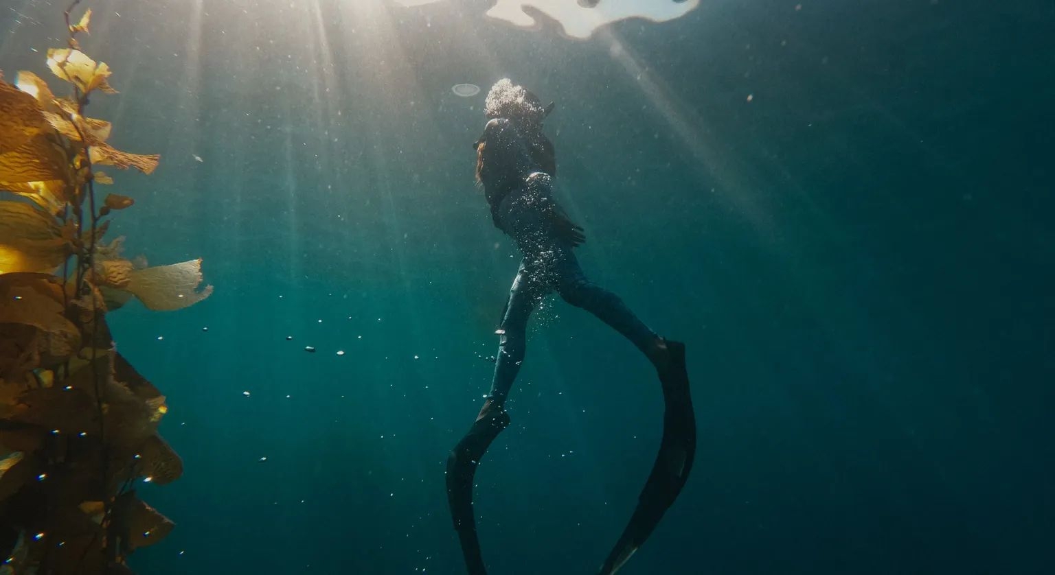 GoPro HERO11 Black Camera