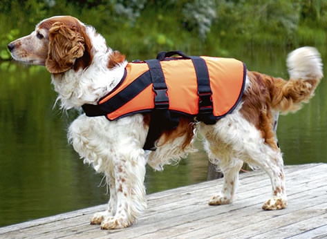 Baltic Pet/Dog Life Jacket