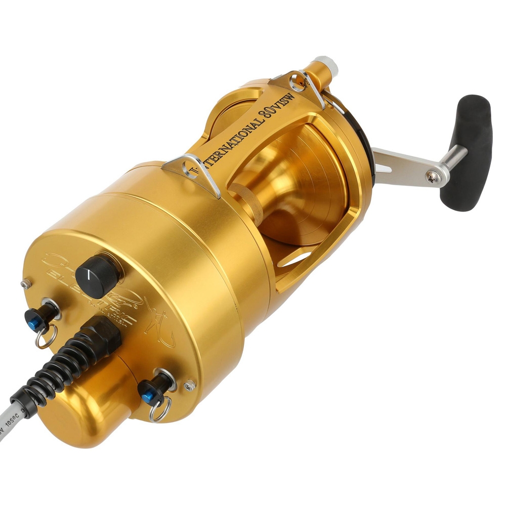 PENN Hooker International VI 80 Detachable Electric Reel Gold