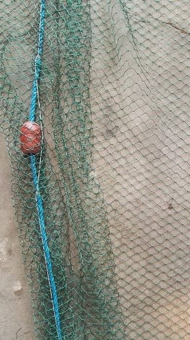 Piper Bait Drag Net 25mm Mesh 40m
