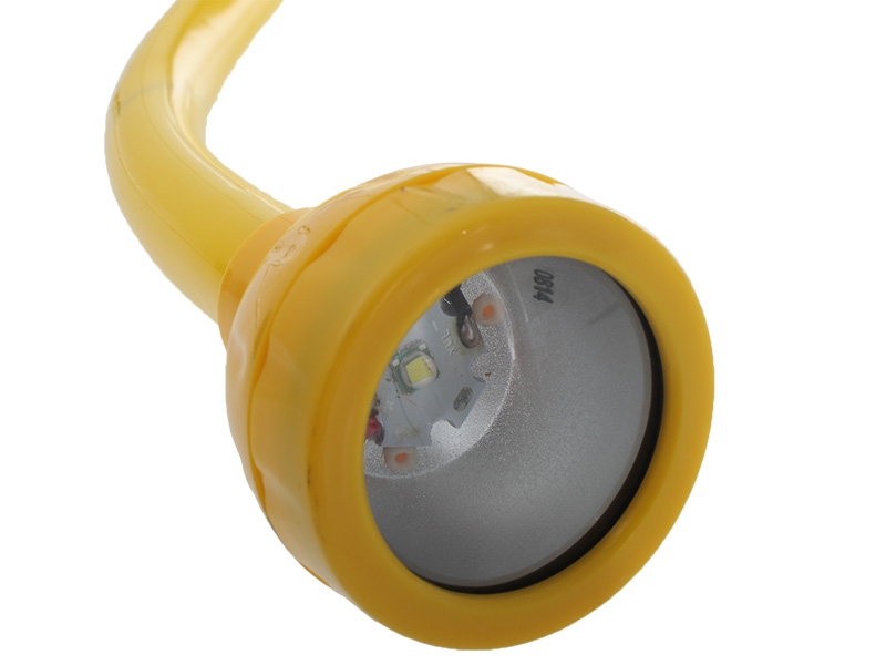 Flounder Starter Pack