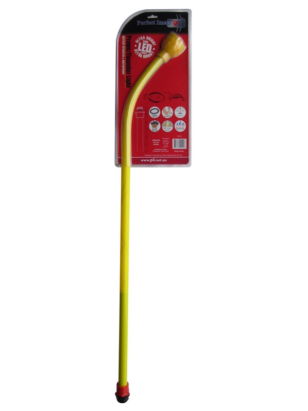 Flounder Starter Pack