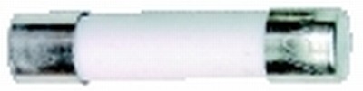 3AG Fast Blow Ceramic Fuses 7A 