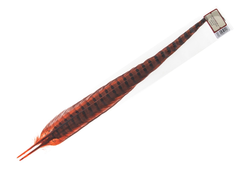 Wapsi Ringneck Pheasant Tail Feathers Orange
