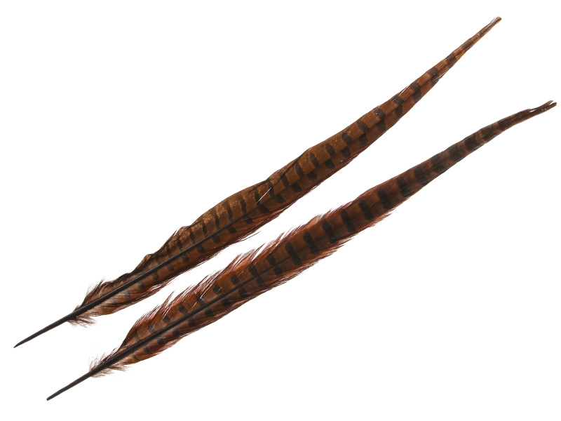 Wapsi Ringneck Pheasant Tail Feathers Pair