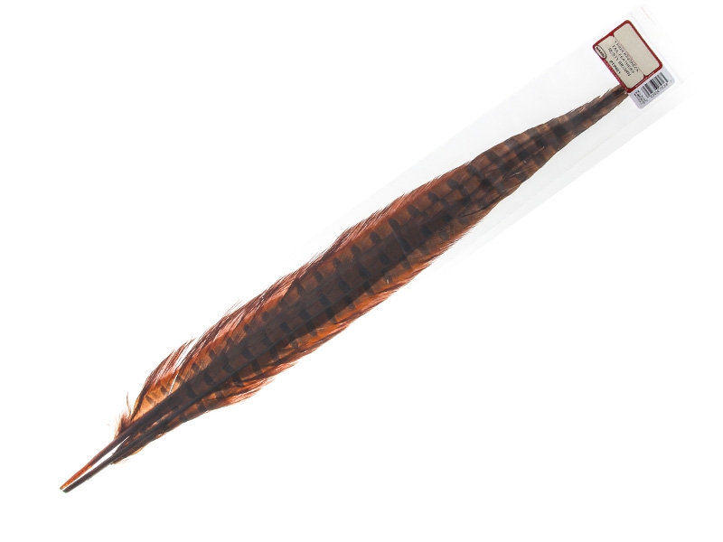 Wapsi Ringneck Pheasant Tail Feathers Pair