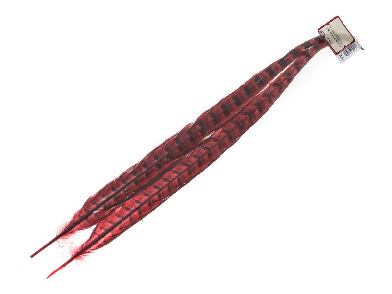 Wapsi Ringneck Pheasant Tail Feathers Pair