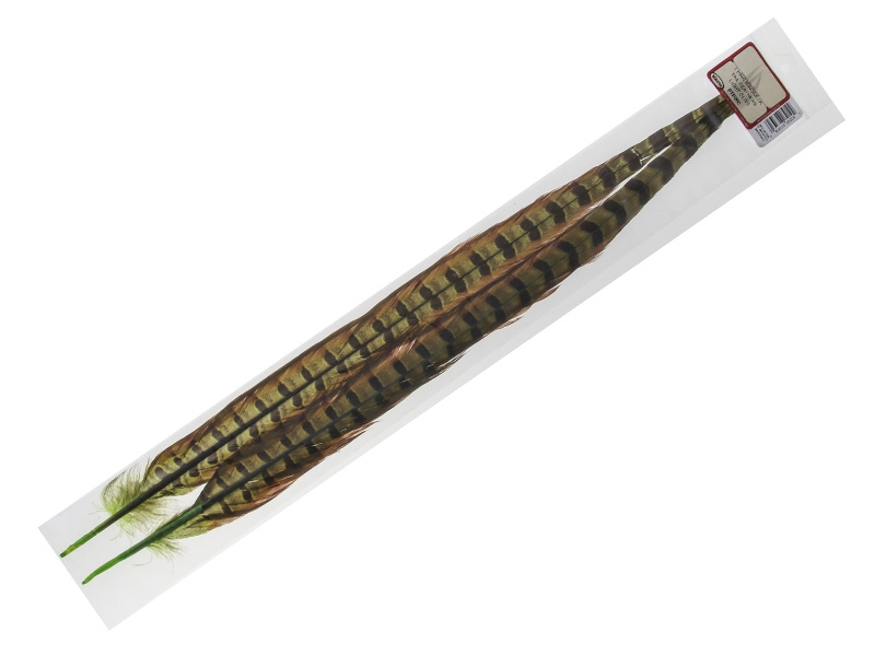 Wapsi Ringneck Pheasant Tail Feathers Light Olive