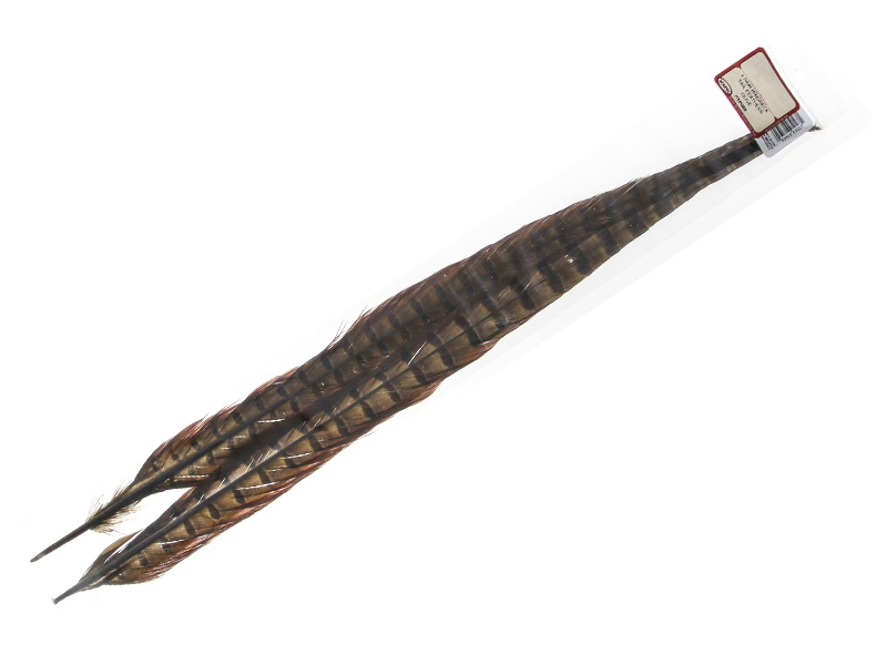 Wapsi Ringneck Pheasant Tail Feathers Pair