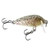 Rapala Countdown CD-3 Sinking Lure 3cm Brown Trout