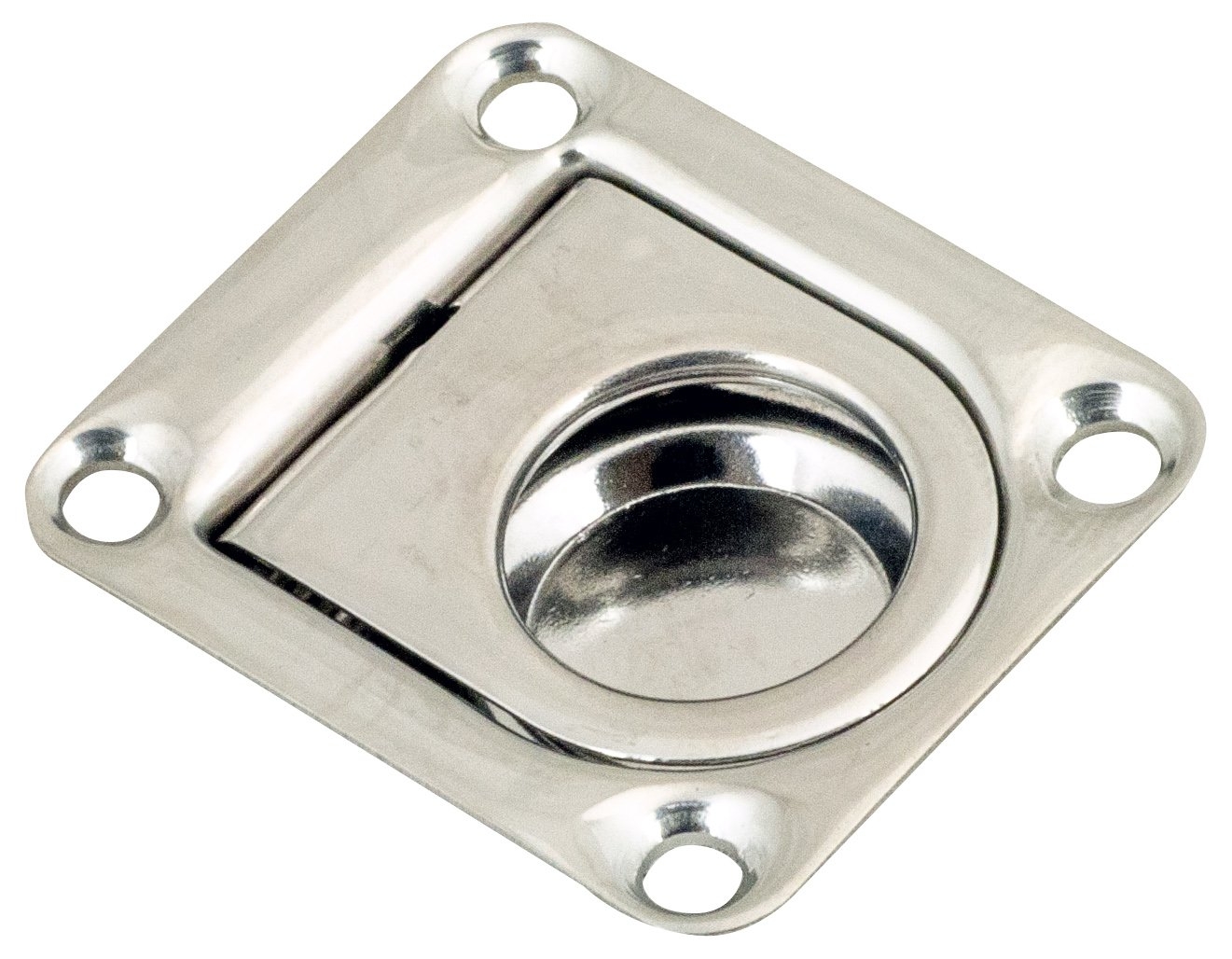 Stainless Steel Lifting Ring