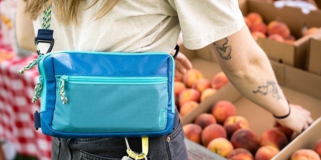 Chums Rover 3-Way Crossbody Bag Black