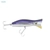 Halco Roosta Popper 160mm Stripey
