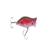 Halco Roosta Popper 45mm Hot Blooded